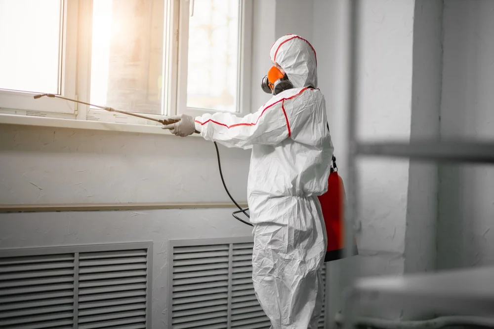 Professional mold remediation services in Willow Springs, IL